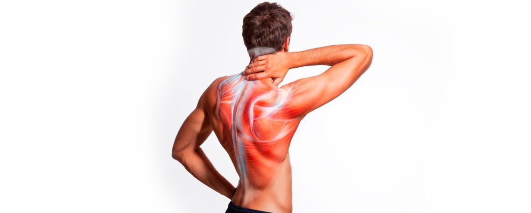 ¿Qué hacer para el Dolor Muscular?