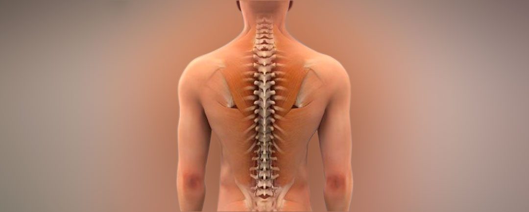 Cirugía de Columna Cervical